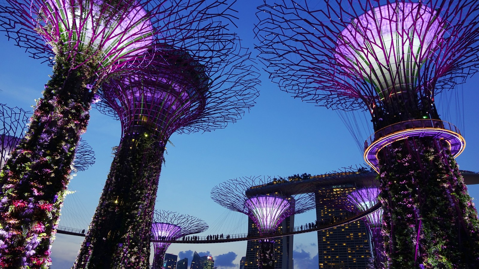 Supertrees. Sustainable installation in Singapore